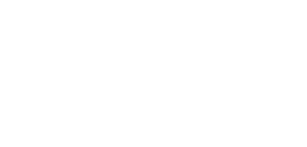 Noosa's Elite Car Spa Logo